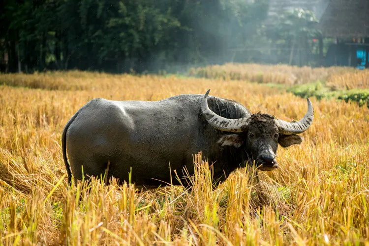 Editorial photography